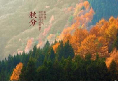 孤独伤感的句子 形容孤独的句子