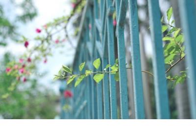 2019甜美爱情语录 2019爱情语录