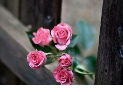 给人充满力量句子 比喻浑身充满力量的句子