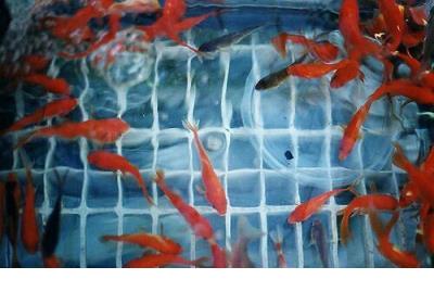 工作累心情说说图片 一个人说说心情短语