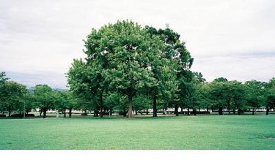 生活说说很现实说说