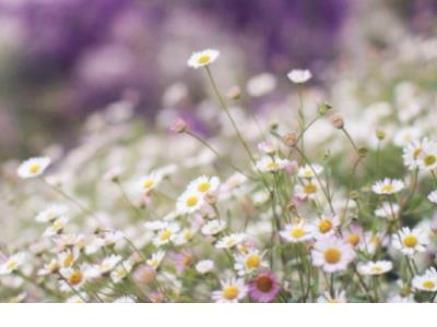 唯美的句子说说心情