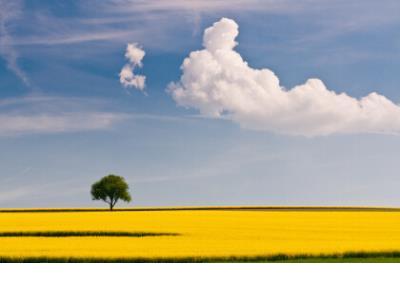 早安说说简短几个字 早安说说正能量简短