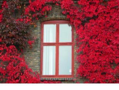 睡前爱情余生说说超甜的 暖心超甜的说说