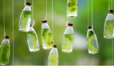 朋友圈正能量说说早安 经典正能量朋友圈说说