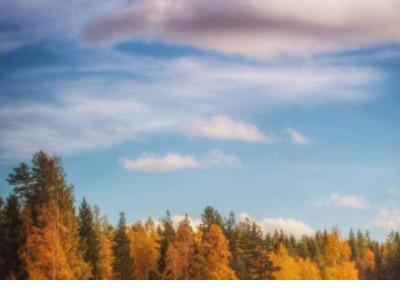 生活说说很现实说说