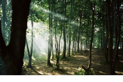 个性签名伤感女生冷漠 女生伤感繁体个性签名