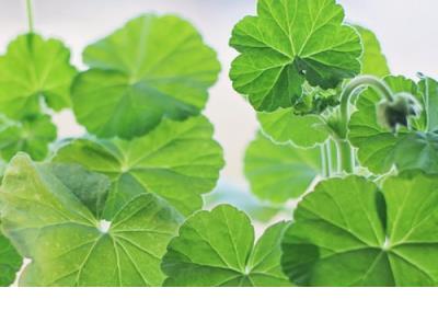 伤感句子图片 心情不好