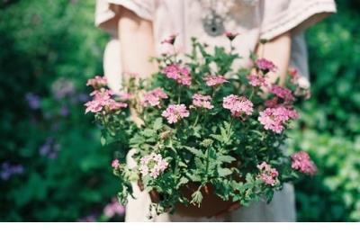 个性说说心情短语唯美