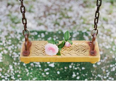 谢谢你的微笑慌乱了我的年华