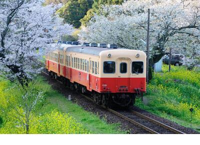 表示自己很累没人帮的句子 觉得自己很累的的句子