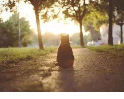 我是一个念旧的人语录 念旧的人经典语录