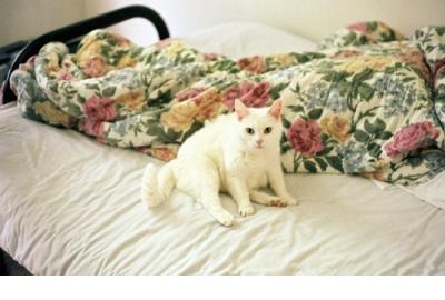 2020最新伤感凄凉说说 说说2019最新说说伤感