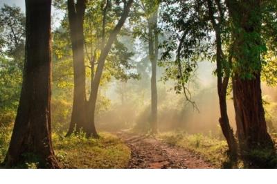 婚后伤感说说心情短语 情侣伤感的说说心情短语