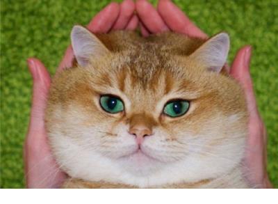 爱情说说幸福 很现实爱情说说