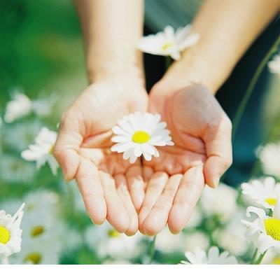 积极向上正能量的说说 阳光正能量的励志说说