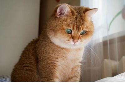 富有诗意的爱情句子 有诗意的说说爱情句子