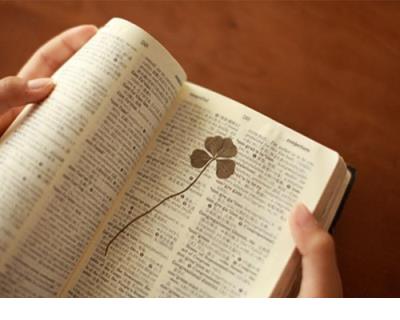 回复说说的搞笑评价 搞笑说说评论回复对话