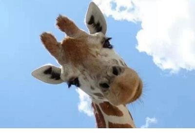 粤语伤感说说心情短语 失落伤感说说心情短语