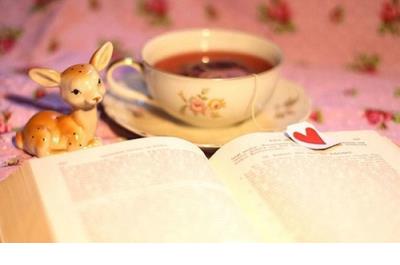 史上最逗比的搞笑说说 可以笑趴的逗比说说