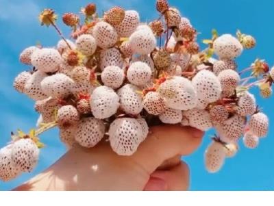 经典个性说说心情短语 伤感说说短语