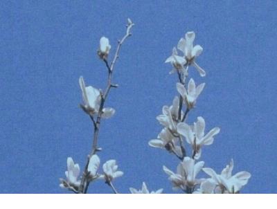 伤感说说心情不好 伤感说说心情不好