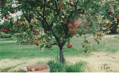 手机怎么能一直震动 手机无缘无故震动不停