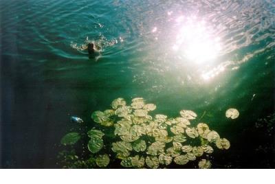 描写秋天早晨的诗句 范成大描写秋天的诗句