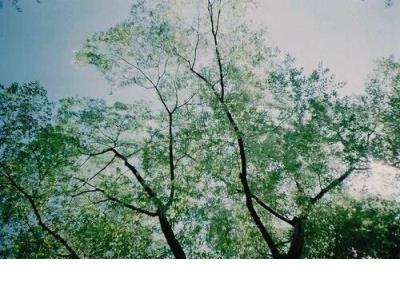 若无其事才是最狠的报复