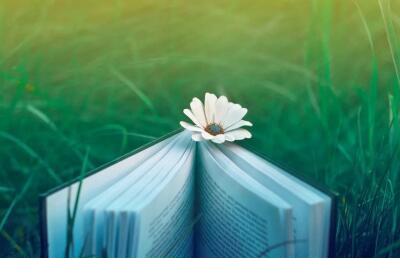 假如我不放手多年以后是什么歌 假如我放手你多年以后