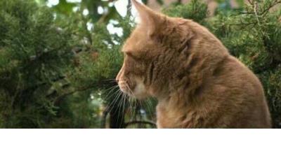 机会总青睐有准备的人 机会总是青睐于准备的人