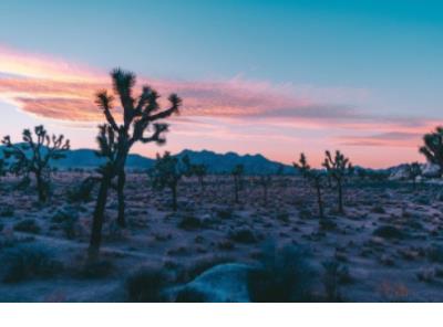 高中优美段落摘抄大全 优美的段落摘抄50字