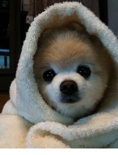 伤感说说配图女生 伤感说说心情不好