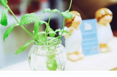 和老公一起跨年的句子