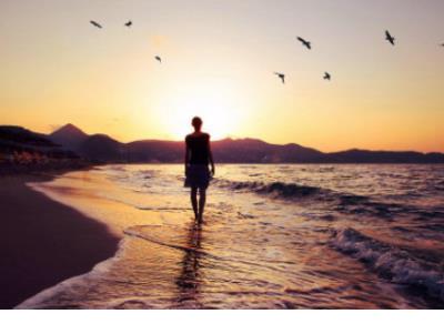 关于爱情的作文优美句子