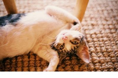 触及心灵的一句话