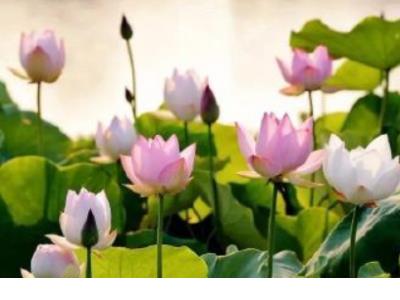 个性签名经典心情短语 个性签名经典心情短语