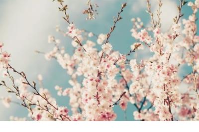 超长 伤感句子句句心痛