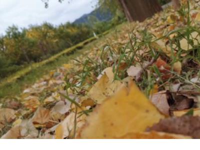 有关等待的优美句子 关于等待的句子虐心