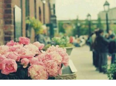 伤感又唯美的句子短句 非常非常伤感的句子