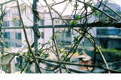 心情不好说说发朋友圈 适合心情不好发的朋友圈