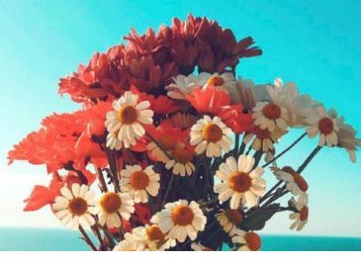 关于爱情的作文优美句子