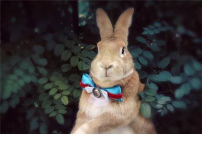 比悲伤更悲伤的故事心情说说