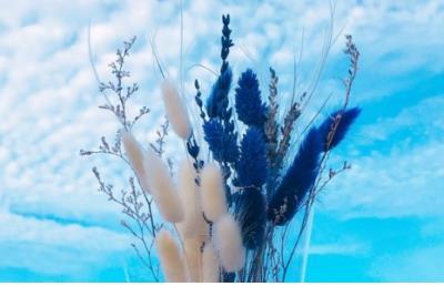 人生感悟励志语录属相 经典语录激励人生感悟