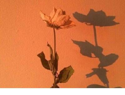 微信人生哲理签名 人生哲理的微信名