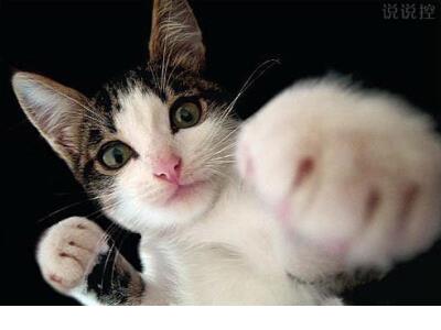 失落伤感说说心情短语 个性伤感说说心情短语