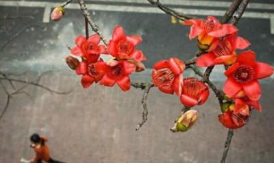 怀念以前说说心情短语 怀念过去的说说心情