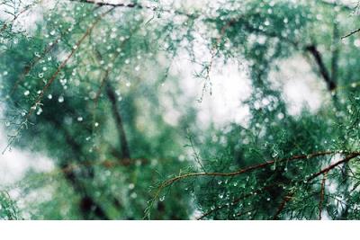 动了情才会心痛的说说 心痛人的说说心情短语