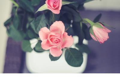 微信人生哲理签名 人生哲理的微信名