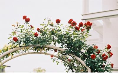 情侣说说图片秀恩爱 情侣说说秀恩爱最火